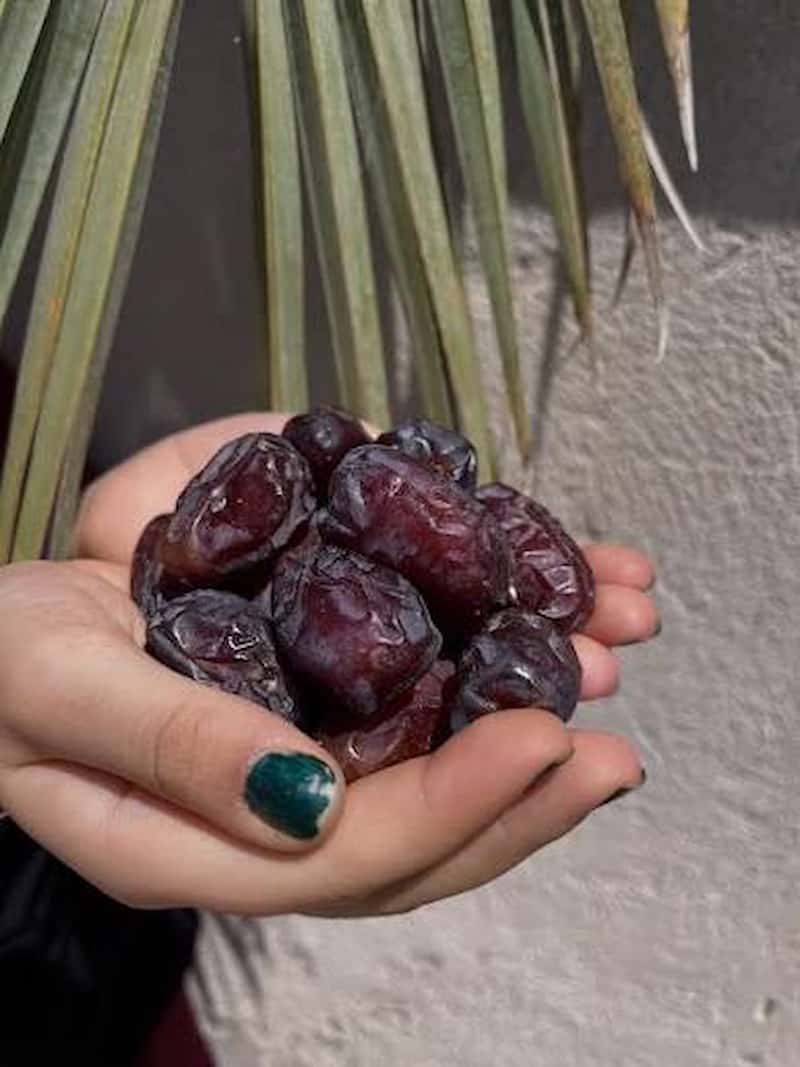 تصویر 1 از خرما کبکاب بدون شیره سالم و گوشتی با ماندگاری بالا